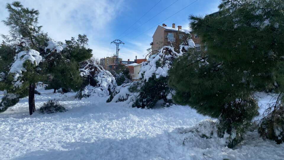 Imagen de la madrileña Casa de Campo, completamente nevada tras el paso de Filomena. 