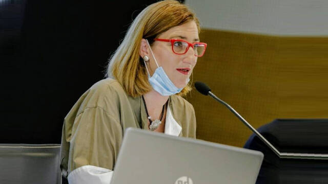Mari Carmen de España, concejala de Empleo y Desarrollo en el Ayuntamiento de Alicante