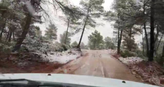 Nieve en la Sierra de Enguera (Albacete)