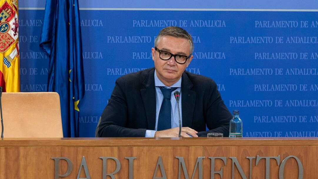 Manuel Gavira, portavoz de Vox en el Parlamento andaluz.