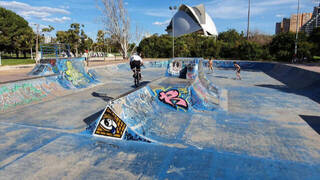 El histórico Skatepark del Gulliver, en lamentable estado de abandono