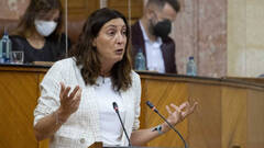 El Parlamento andaluz pide una comisión bilateral para el reparto de fondos UE