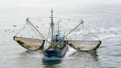 El consistorio critica a la UE y defiende la pesca de arrastre en el Mediterráneo