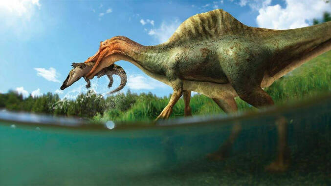 Dinosaurio 'Vallibonavenatrix' hallado en Castellón