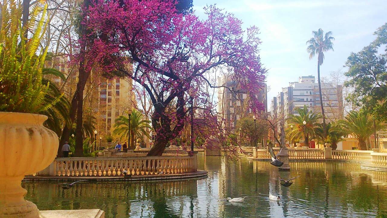 Parque de Ribalta, Castellón