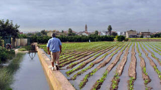 El Gobierno deja a la agricultura valenciana a la cola en el reparto de ayudas