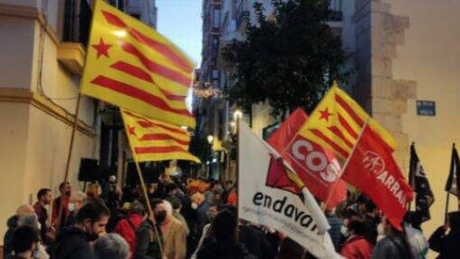Esteladas durante la manifestación de Castelló per la Llengua