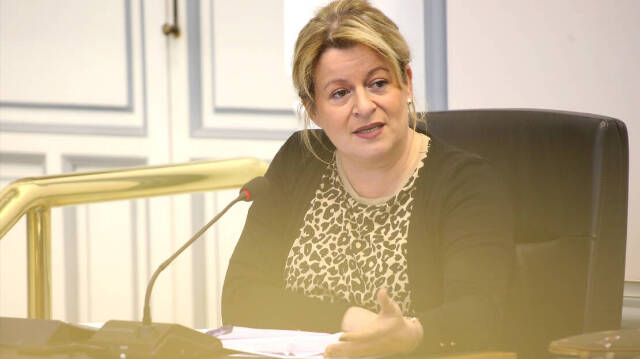 Ana Serna,  portavoz del equipo de Gobierno de la Diputación de Alicante