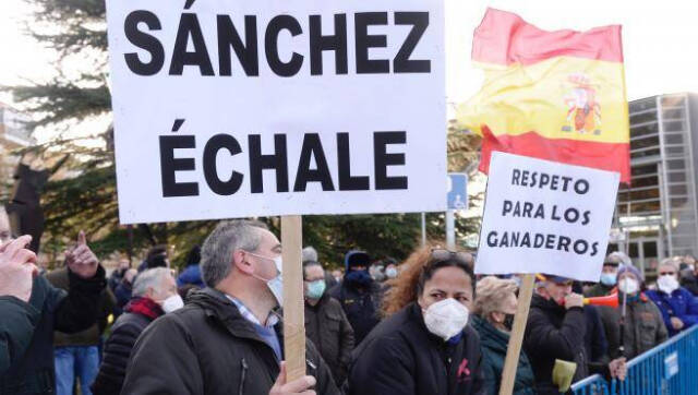 Protestas de los ganaderos contra Sánchez en Palencia