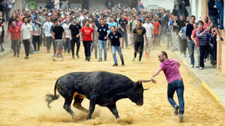 La Generalitat Valenciana deja tirados a los ‘bous al carrer’