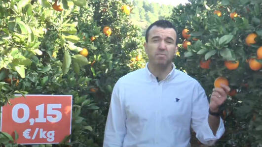 Vicent Mompó denunciando la situación de la naranja valenciana