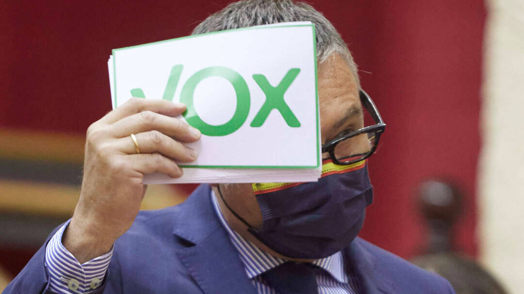 El portavoz de Vox, Manuel Gavira, en el Parlamento de Andalucía.
