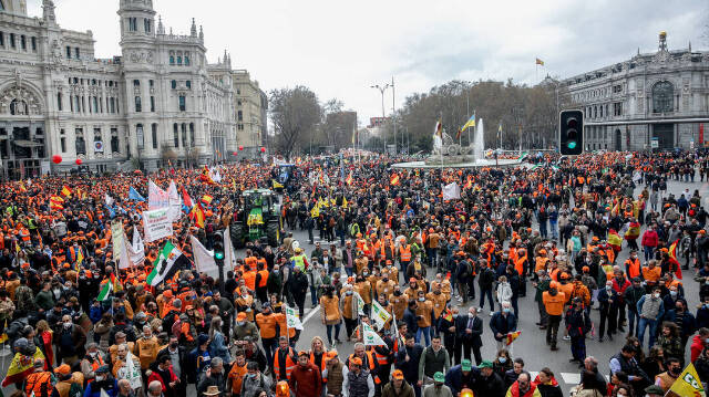 Miles de agricultores se han manifestado este domingo en Madrid
