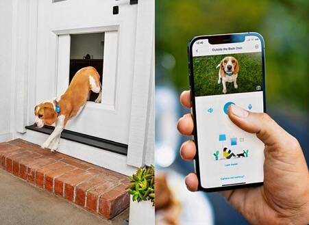 Este sensor abre la puerta del patio solo a tu mascota