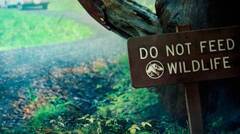 Jurassic World lanza un espectacular cortometraje antes de su nueva película