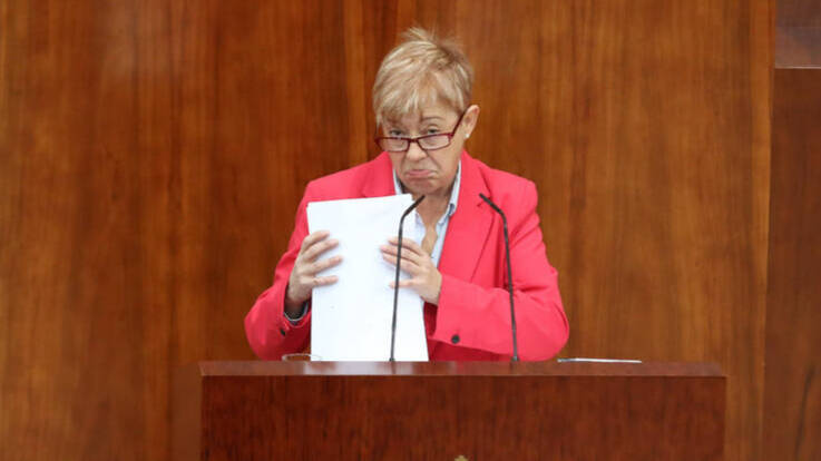 La diputada del PSOE María Carmen López Ruiz