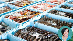 Los 13 pescados más populares de España... y cómo prepararlos