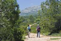 Los senderos valencianos más accesibles gracias a un nuevo buscador