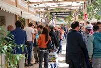 Vuelve la Feria del Vino a Valencia con más fuerza que nunca