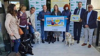 28 perros guía de Alicante reclaman su derecho de acceso al transporte público