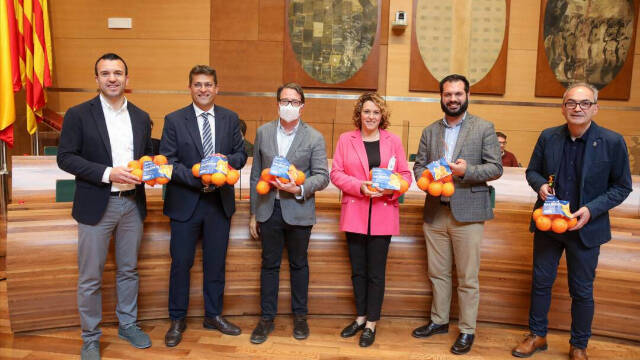 Diputados del PP en la Diputación de Valencia con las mallas de naranjas