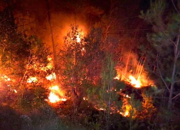 Unos ‘porros’ acaban en un incendio que arrasó 1.800 m2 de terreno forestal