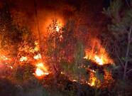 Unos ‘porros’ acaban en un incendio que arrasó 1.800 m2 de terreno forestal