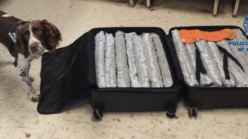 Perro de la Policía Nacional con la maleta de marihuana intervenida