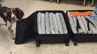 15 kilos de marihuana: el curioso equipaje de una inglesa en el aeropuerto de Manises