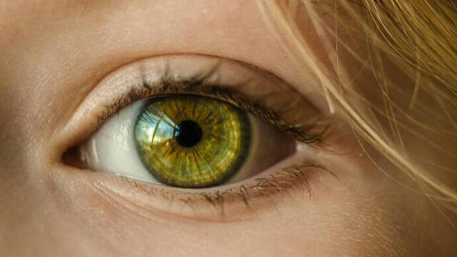 Descubre la luteína y cómo cumplir años sin problemas en los ojos ni en la vista