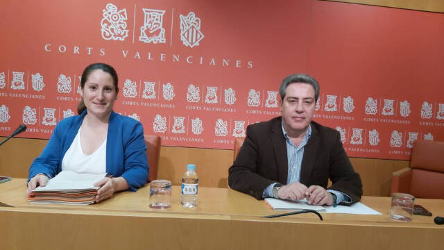 La portavoz de Vox en Las Cortes, Ana Vega, junto al presidente y portavoz adjunto, José María Llanos.