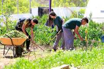 Jardineria, una formació amb futur per als nostres joves i el nostre entorn