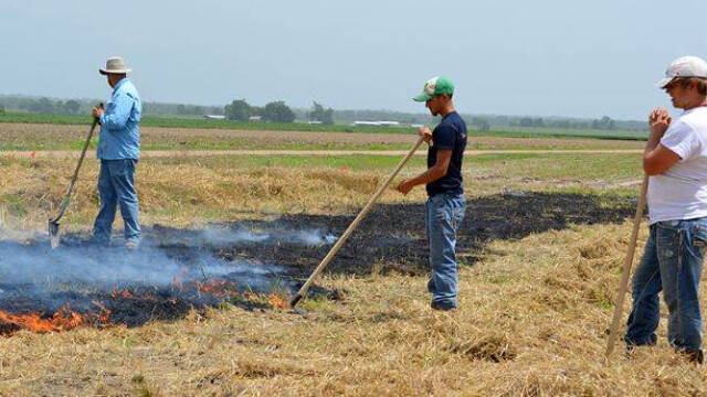 Imagen de agricultores quemando.