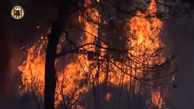 Incendio forestal en Venta del Moro.