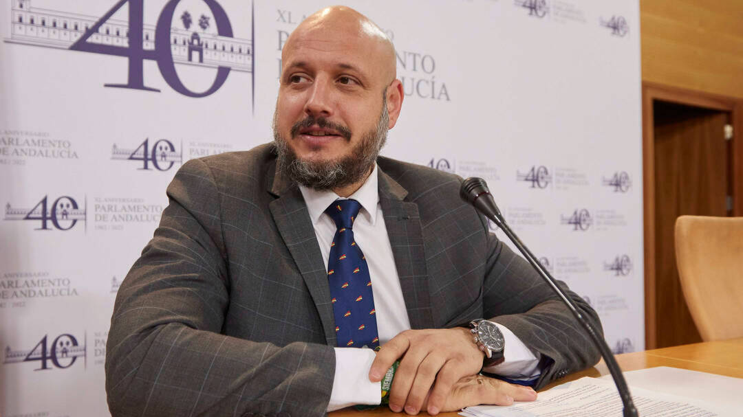 El portavoz del grupo parlamentario Vox, Rodrigo Alonso,.