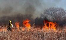 El Ministerio de Ciencia investiga en el cambio climático y los incendios
