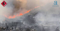Unos 70 mil animales muertos: La catástrofe ambiental del incendio Vall d'Ebo
