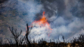 Imagen del incendio en Bejis