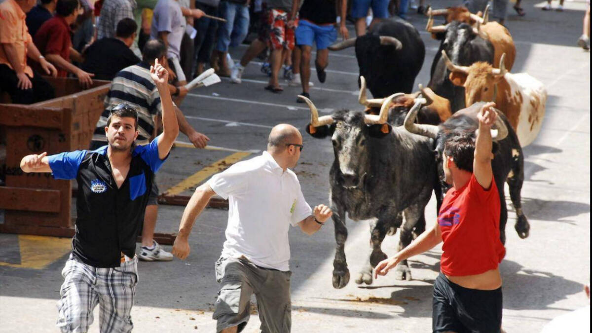 Imagen de un festejo de 'bous al carrer'