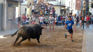 Sueca, gobernado por el PSOE, se suma a la prohibición de los ‘bous al carrer’