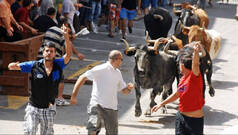 ¿Podría el Consell prohibir los 'bous al carrer'?: Esto es lo que indica la ley