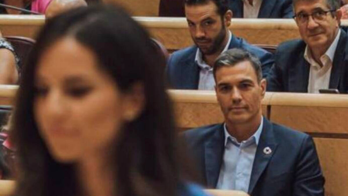 Sánchez observa a la senadora de Vox en una imagen que se ha hecho viral