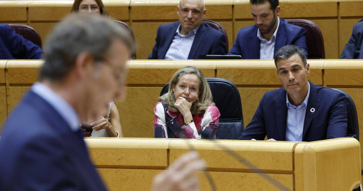 Sánchez observa a Feijóo en el Senado
