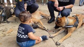 València acoge el encuentro de unidades caninas más importante de España