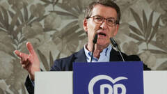 El PP teme que Sánchez cuele a ERC en el TC mientras el CGPJ ultima candidatos