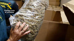 Incautan el mayor alijo de marihuana de la historia: 32 toneladas de cogollos