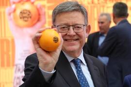 Generalitat presenta la nueva marca para identificar las naranjas valencianas