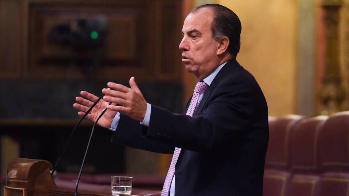 Carlos García Adanero interviene durante una sesión plenaria en el Congreso de los Diputados