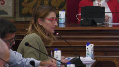 El bipartito de Alicante exige a Puig que implante la “cuota cero para autónomos”