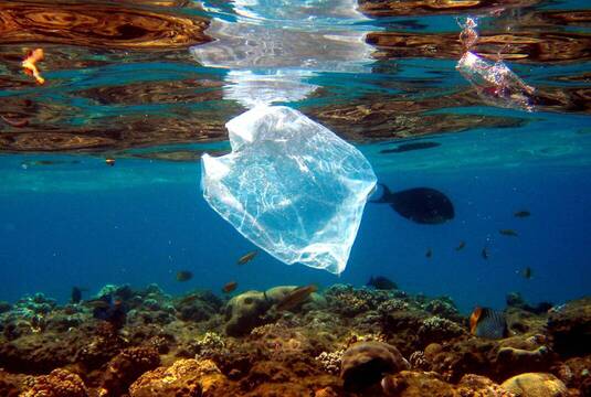 8 de cada 10 españoles apoya un tratado contra la contaminación por plásticos